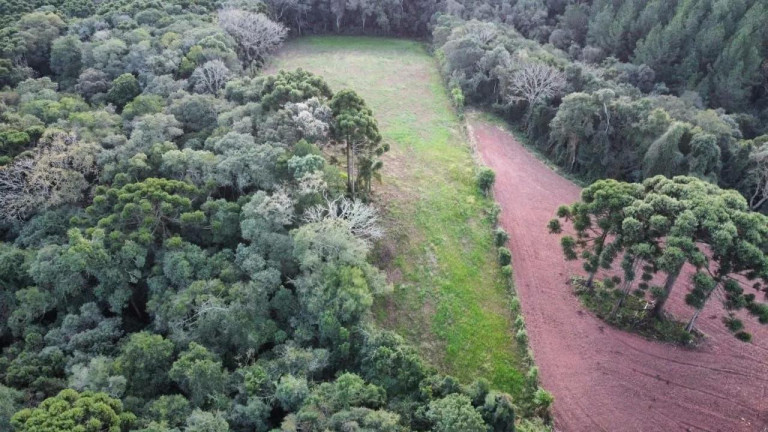 Imagem Imóvel com 5 Quartos à Venda, 48.000 m² em São João Do Caiva - Lapa Imagem Imóvel com 5 Quartos à Venda, 48.000 m² em São João Do Caiva - Lapa
