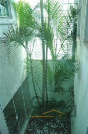 Imagem Sobrado com 4 Quartos à Venda, 600 m² em Parque Mandaqui - São Paulo