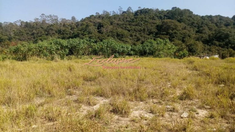 Imagem Chácara à Venda, 4.000 m² em Ipelândia - Suzano Imagem Chácara à Venda, 4.000 m² em Ipelândia - Suzano