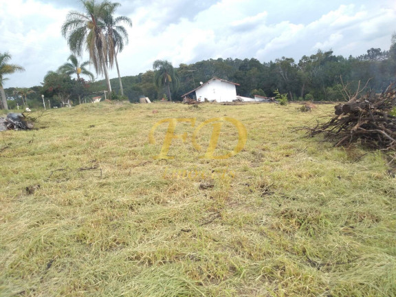 Imagem Chácara com 6 Quartos à Venda, 40.000 m² em Não Especificado - Jarinu Imagem Chácara com 6 Quartos à Venda, 40.000 m² em Não Especificado - Jarinu