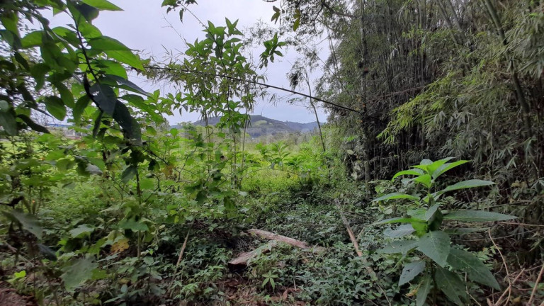 Imagem Ponto Comercial à Venda, em Volta Grande - Navegantes Imagem Ponto Comercial à Venda, em Volta Grande - Navegantes