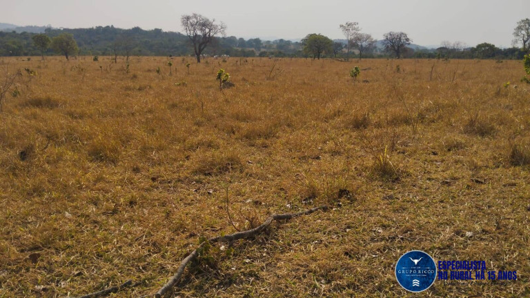 Imagem Chácara à Venda, 20 m² em Zona Rural - Morro Agudo De Goiás Imagem Chácara à Venda, 20 m² em Zona Rural - Morro Agudo De Goiás