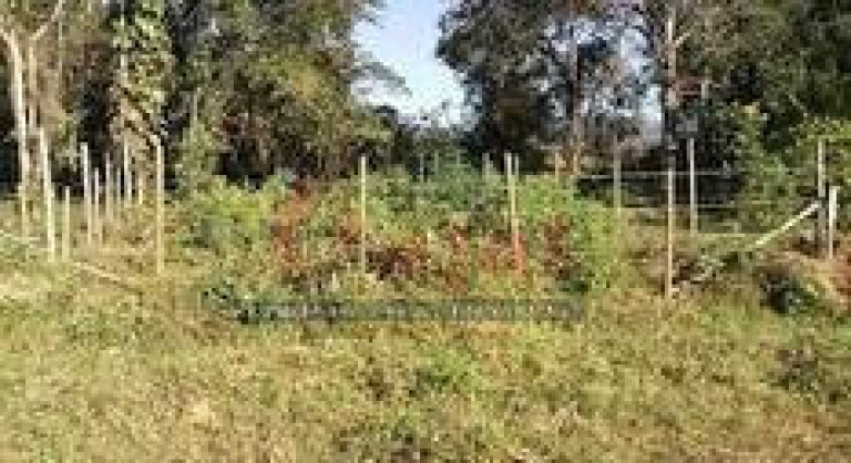 Imagem Terreno à Venda, 348 m² em Golfinho - Caraguatatuba