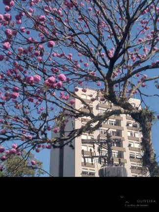 Imagem Apartamento com 2 Quartos à Venda, 115 m² em Jardim Bela Vista - São José Dos Campos Imagem Apartamento com 2 Quartos à Venda, 115 m² em Jardim Bela Vista - São José Dos Campos