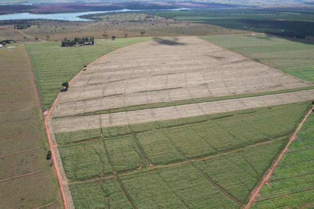 Imagem Fazenda à Venda, 125 m² em Zona Rural - Sud Mennucci Imagem Fazenda à Venda, 125 m² em Zona Rural - Sud Mennucci