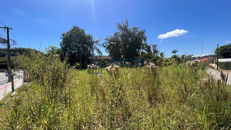 Imagem Terreno à Venda, 391 m² em Avaí - Guaramirim Imagem Terreno à Venda, 391 m² em Avaí - Guaramirim