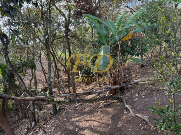Imagem Casa com 3 Quartos à Venda, 1.000 m² em Mairiporã Imagem Casa com 3 Quartos à Venda, 1.000 m² em Mairiporã