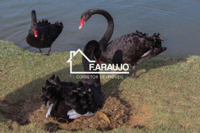 Imagem Imóvel com 3 Quartos à Venda, 452 m² em Ibiti Royal Park - Sorocaba