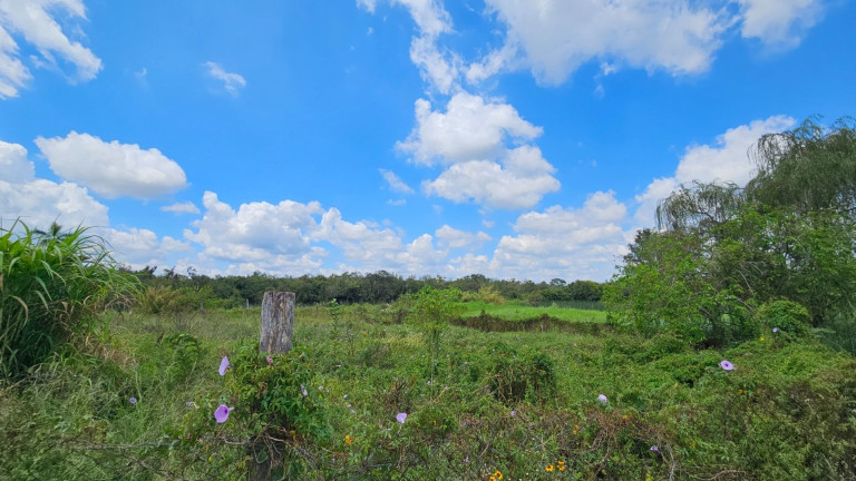 Imagem Fazenda à Venda, em Iguaçu - Araucaria Imagem Fazenda à Venda, em Iguaçu - Araucaria