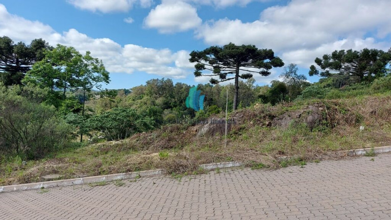 Imagem Terreno à Venda, 375 m² em Barracão - Bento Gonçalves Imagem Terreno à Venda, 375 m² em Barracão - Bento Gonçalves