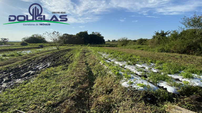 Imagem Chácara à Venda, em águas Claras - Viamão Imagem Chácara à Venda, em águas Claras - Viamão