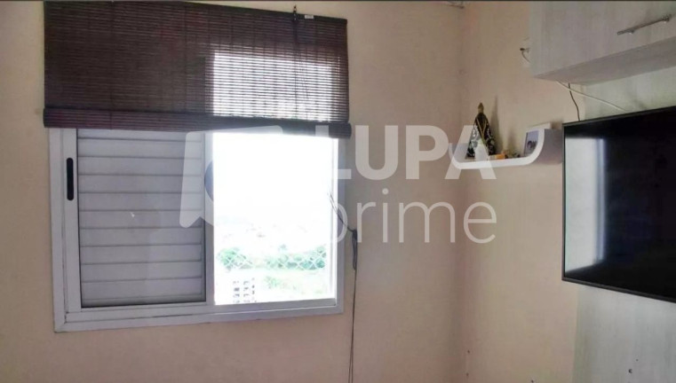 Imagem Apartamento com 2 Quartos à Venda, 53 m² em Vila Maria - São Paulo Imagem Apartamento com 2 Quartos à Venda, 53 m² em Vila Maria - São Paulo