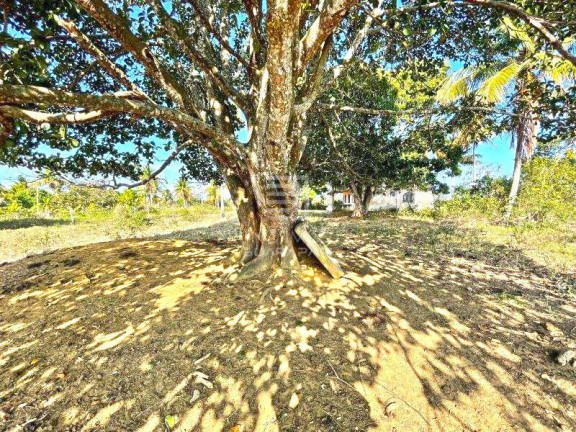 Imagem Terreno à Venda, 117.000 m² em Lameirão - Guarapari