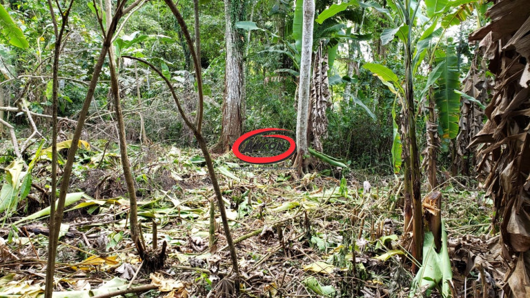 Terreno à Venda, 738 m² em Praia Da Fortaleza - Ubatuba