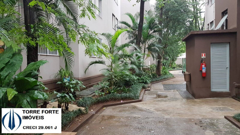 Imagem Apartamento com 2 Quartos à Venda, 50 m² em Lapa De Baixo - São Paulo Imagem Apartamento com 2 Quartos à Venda, 50 m² em Lapa De Baixo - São Paulo