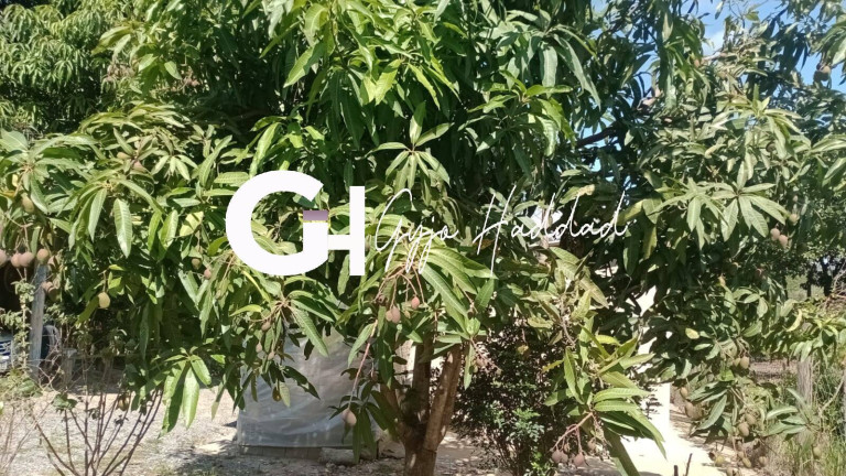 Imagem Chácara com 1 Quarto à Venda, 4.985 m² em Piedade Imagem Chácara com 1 Quarto à Venda, 4.985 m² em Piedade