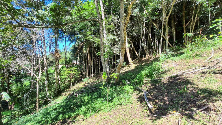 Imagem Terreno à Venda, 728 m² em Parque Do Ingá - Teresópolis Imagem Terreno à Venda, 728 m² em Parque Do Ingá - Teresópolis