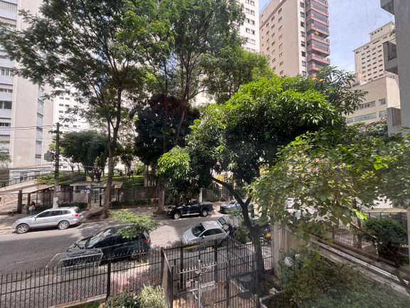 Imagem Apartamento com 4 Quartos à Venda, 233 m² em Santa Cecília - São Paulo