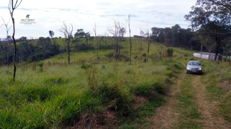 Imagem Terreno à Venda, 235.000 m² em Sorocamirim - São Roque Imagem Terreno à Venda, 235.000 m² em Sorocamirim - São Roque