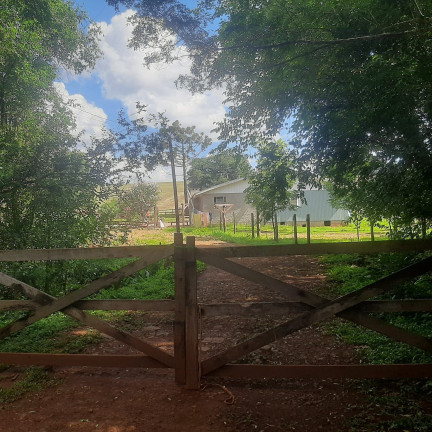 Imagem Imóvel à Venda, 50.000 m² em Centro - Lagoa Dos Três Cantos Imagem Imóvel à Venda, 50.000 m² em Centro - Lagoa Dos Três Cantos