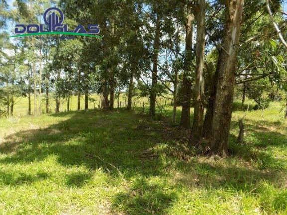 Imagem Chácara com 2 Quartos à Venda, 190.000 m² em Viamão Imagem Chácara com 2 Quartos à Venda, 190.000 m² em Viamão