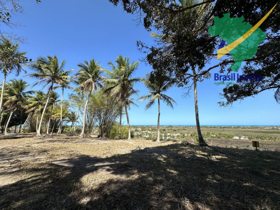 Imagem Terreno à Venda, em Centro Coroa Vermelha - Santa Cruz Cabrália Imagem Terreno à Venda, em Centro Coroa Vermelha - Santa Cruz Cabrália