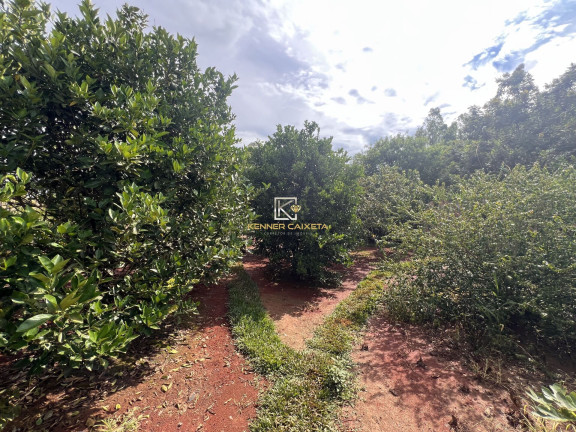 Imagem Imóvel com 3 Quartos à Venda, 200 m² em área Rural De Patos De Minas - Patos De Minas Imagem Imóvel com 3 Quartos à Venda, 200 m² em área Rural De Patos De Minas - Patos De Minas