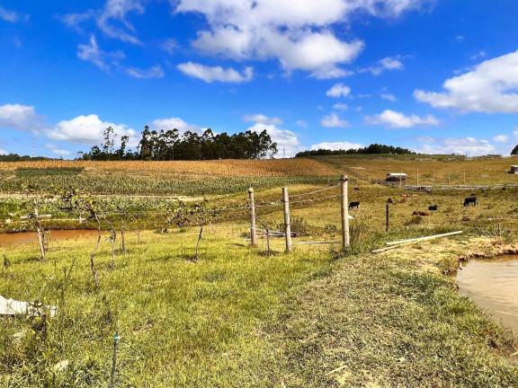 Chácara com 2 Quartos à Venda, 6 m² em Morungava - Gravataí