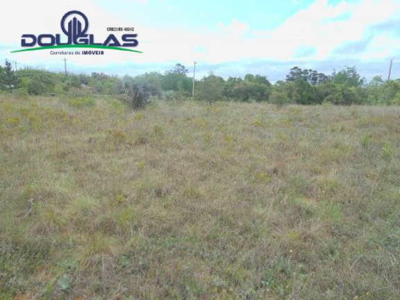 Imagem Imóvel Comercial à Venda, 3.640 m² em Morro Grande - Viamão Imagem Imóvel Comercial à Venda, 3.640 m² em Morro Grande - Viamão