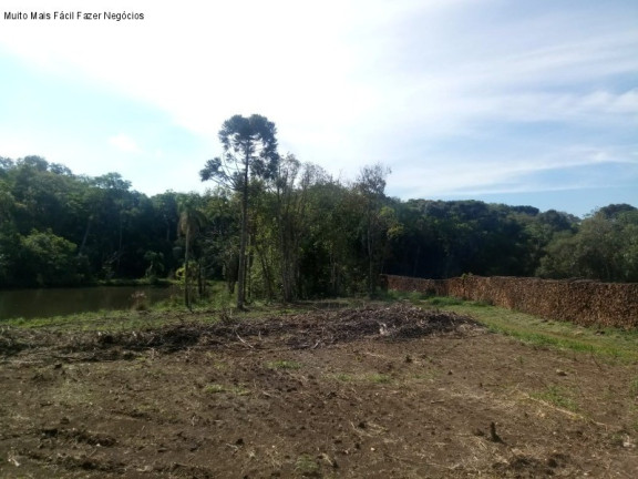 Imagem Terreno à Venda, 4 m² em Pinhal Alto - Nova Petrópolis Imagem Terreno à Venda, 4 m² em Pinhal Alto - Nova Petrópolis