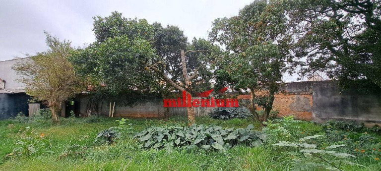 Imagem Terreno à Venda, 1.169 m² em Jardim Jaú - São Paulo Imagem Terreno à Venda, 1.169 m² em Jardim Jaú - São Paulo