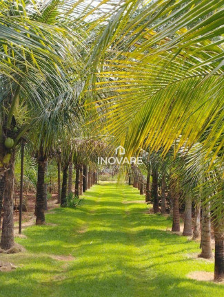 Imagem Fazenda à Venda, 2.400 m² em Zona Rural - Itumbiara