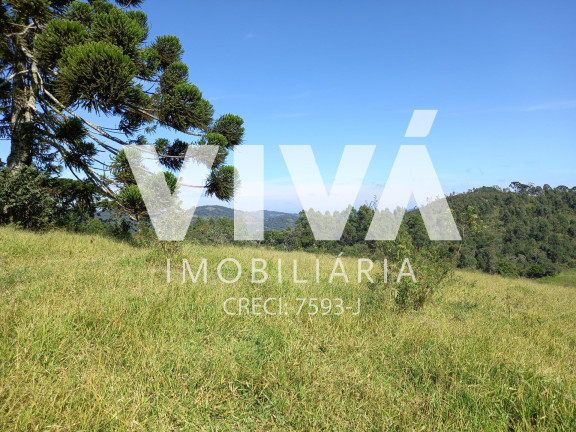 Imagem Fazenda à Venda, 338.800 m² em Rural - Pedra Bela Imagem Fazenda à Venda, 338.800 m² em Rural - Pedra Bela