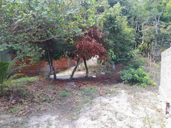 Imagem Terreno à Venda, 301 m² em Praia Da Pipa - Tibau Do Sul Imagem Terreno à Venda, 301 m² em Praia Da Pipa - Tibau Do Sul