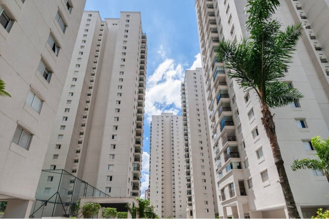 Imagem Apartamento com 3 Quartos à Venda, 81 m² em Vila Amélia - São Paulo