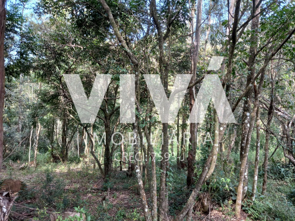 Imagem Terreno à Venda,  em Forjos - Extrema