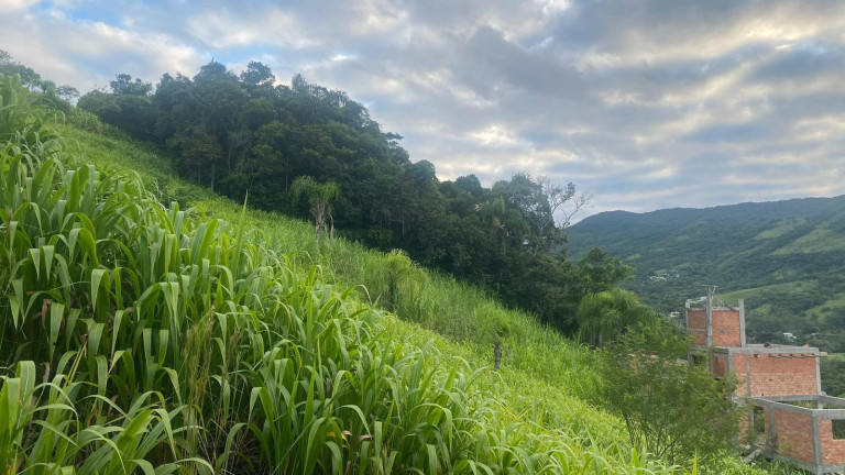 Imagem Terreno à Venda, 1.000 m² em Macacu - Garopaba Imagem Terreno à Venda, 1.000 m² em Macacu - Garopaba