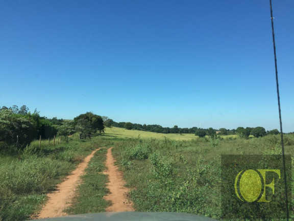 Imagem Fazenda à Venda, 27 m² em Avare - Avaré