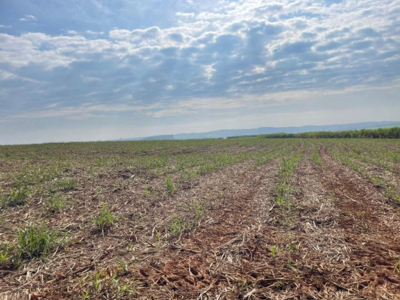 Imagem Fazenda à Venda, 303 m² em Rural - Itaí Imagem Fazenda à Venda, 303 m² em Rural - Itaí