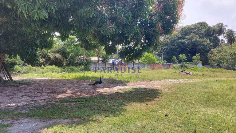 Imagem Fazenda à Venda, 6.800 m² em Monte Gordo (monte Gordo) - Camaçari Imagem Fazenda à Venda, 6.800 m² em Monte Gordo (monte Gordo) - Camaçari
