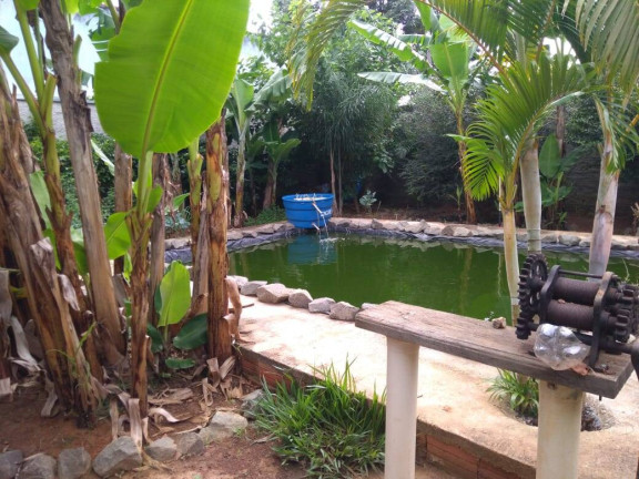 Imagem Casa com 3 Quartos à Venda, 900 m² em Cercadinho - Alambari Imagem Casa com 3 Quartos à Venda, 900 m² em Cercadinho - Alambari