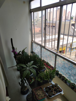Imagem Imóvel com 3 Quartos à Venda, 158 m² em Centro - Campinas Imagem Imóvel com 3 Quartos à Venda, 158 m² em Centro - Campinas