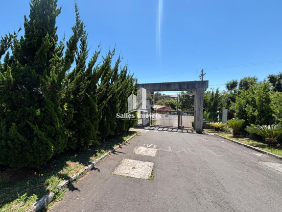 Imagem Apartamento com 2 Quartos à Venda, 40 m² em Bela Vista - Caxias Do Sul