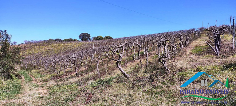 Imagem Chácara à Venda, 43 m² em Centro - Paraisópolis Imagem Chácara à Venda, 43 m² em Centro - Paraisópolis