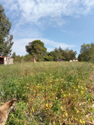 Imagem Chácara com 3 Quartos à Venda, 130.000 m² em Cantagalo - Antônio Olinto