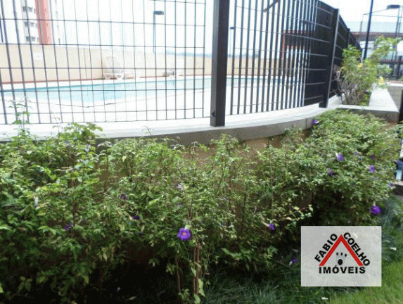 Imagem Apartamento com 3 Quartos à Venda, 81 m² em Jardim Marajoara - São Paulo Imagem Apartamento com 3 Quartos à Venda, 81 m² em Jardim Marajoara - São Paulo