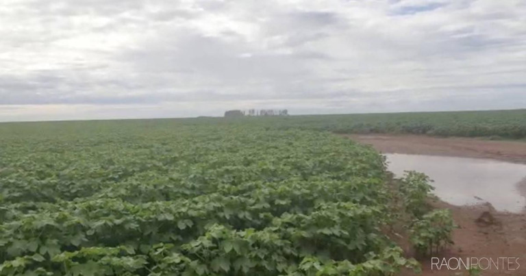 Imagem Fazenda à Venda, 34.060.000 m² em Zona Rural - Novo São Joaquim
