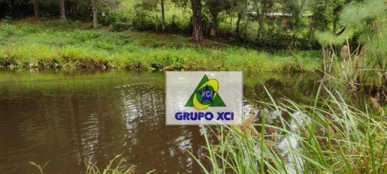 Imagem Fazenda à Venda, 200.000 m² em Pernambucana - Paraibuna Imagem Fazenda à Venda, 200.000 m² em Pernambucana - Paraibuna