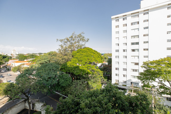 Imagem Apartamento com 3 Quartos à Venda, 115 m² em Parque Colonial - São Paulo