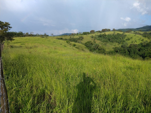 Imagem Imóvel com 15 Quartos à Venda, 2.783.000 m² em Vila Pantaleão - Caçapava Imagem Imóvel com 15 Quartos à Venda, 2.783.000 m² em Vila Pantaleão - Caçapava